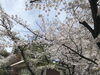 「ご出棺の道のり」