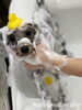 「秋のオプションキャンペーン　^ - ^」