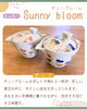 「NEW！商品紹介✨ ❝🌼サニーブルーム🌼❞」