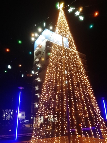 太田川駅　東側「ウィンターイルミネーションin太田川2020　～twinkle twinkle little star ～」