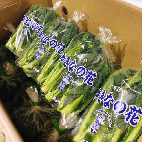 「「仙台ゆき菜」の出荷は終わりましたが、代わりに 「ゆきなの花」が入荷していますよー！！」