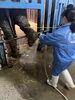 水で汚れを落とします「🐘ゾウキーパー奮闘記【#63.ゾウ担当への道5】」