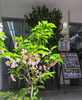 明石市 神戸市西区の 正社員 パート アルバイト「🌸【テスコム明石求人センター】明石市大明石町1-9-22 」