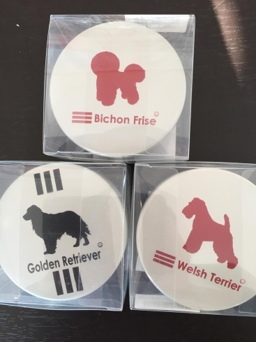 おやつケースお散歩 おでかけの時携帯用に便利です 犬雑貨店 Rin And Run りんるん のニュース まいぷれ 宮崎