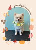 「Dog salon mofu mofu　余市町」