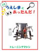 大型のものから家庭用のものまで！「「えっ、こんなのもあるの⁉️」意外なスポーツ用品をご紹介✨」