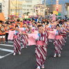 ■花火・祭り特集■　阿久根エリア
