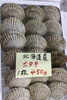 「魚魚市場鮮魚コーナーおすすめは「ヤイトガツオ・本ガツオ」です♪」