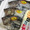 「魚魚市場鮮魚コーナーおすすめは「伊勢エビ」です♪」