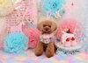 「Anniversaryphoto　(*^-^*)」