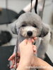 「秋のオプションキャンペーン　^ - ^」