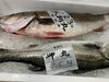 「ホームページはこちら🔗iwafunegyokou.com」