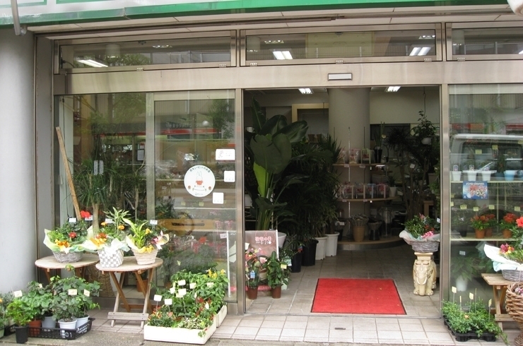 花金 花キューピットでお花じかん まいぷれ 黒部 入善 朝日 花金 花キューピットでお花じかん まいぷれ 黒部 入善 朝日
