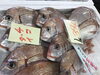 「魚魚市場鮮魚コーナーおすすめは「北海道産ホタテ」です♪」