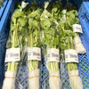 「『花わさび』が入荷しました！道の駅木曽福島」