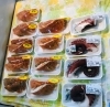 「魚魚市場鮮魚コーナーおすすめは「ハガツオ・レンコ鯛」です♪」