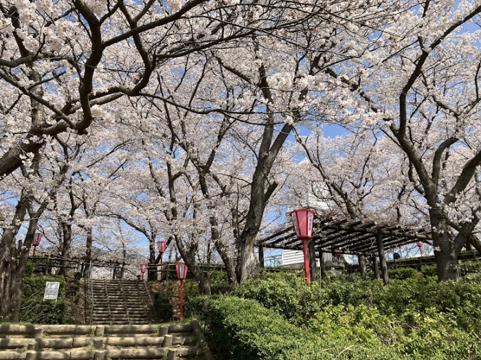 境台場公園  境港市