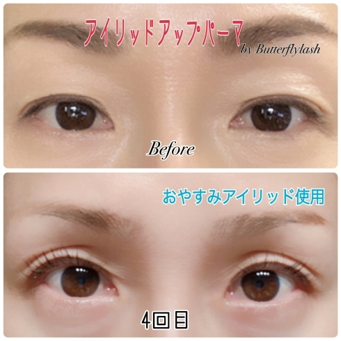 おやすみアイリッド 取扱サロン 妙蓮寺徒歩1分マツエク まつ毛カールサロン バタフライ ラッシュ マツエク まつ毛カールサロン バタフライ ラッシュのニュース まいぷれ 横浜市港北区 おやすみアイリッド 取扱サロン 妙蓮寺徒歩1分マツエク まつ毛カールサロン バタフライ ラッシュ マツエク まつ毛カールサロン バタフライ ラッシュのニュース まいぷれ 横浜市港北区