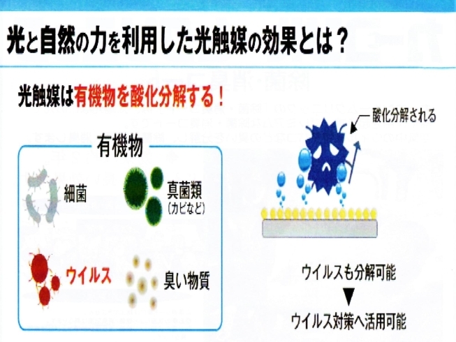 光触媒の特性「お車の殺菌、除菌、消臭コート（抗ウィルス効果も）」