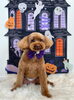 麦くん「Happy Halloween 2026🎃」