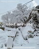 「Monday, 17th March 2025.」