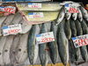 「鮮度抜群！京都府産サワラや真アジなど旬の鮮魚が勢ぞろい」