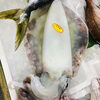 「魚魚市場鮮魚コーナーおすすめは「ノドグロ・あゆ」です♪」