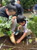 ほりほり！「🍀年長 はと組１学期保育参観🍀」