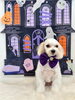 リーチくん「Happy Halloween 2026🎃」