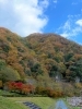 おおさ源流公園（キャンプ広場側）「連日、紅葉を見ています！」