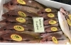 「魚魚市場鮮魚コーナーおすすめは「本ガツオ」です♪」