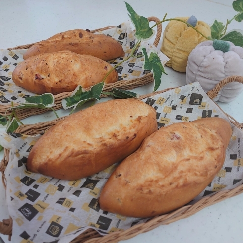 チーズベーコンクッペ「福岡　パン教室　ブリオッシュ　タルト　クッペ」