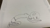得意 不得意があっていいんだ 人間だもの ヘアーサロン バロックのニュース まいぷれ 四国中央市