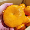 「愛知県産　蒲郡「はるみ」　が入荷しました～」