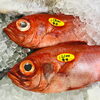「魚魚市場鮮魚コーナーおすすめは「ハガツオ・ホーボー」です♪」