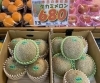 網目が細かく美しい、初夏を代表する青肉メロン「タカミメロン」「今年も大人気！山梨県産のシャインマスカットが極上入荷✨　新鮮果実 日野屋　 枚方ビオルネ北館地下1階」