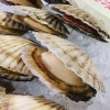 「魚魚市場鮮魚コーナーおすすめは「アマダイ・北海道産ホタテ」です♪」