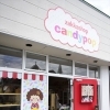 レトロとモダンが一緒に楽しめる雑貨屋さん【zakkashop candypop】
