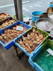 「今日も訳あり松葉は沢山出しておりますので欲しい方はご連絡ください☎」