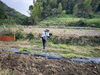 自社栽培直送「【第27回おたけ大作戦!!】週末イベント/自社栽培野菜/ワークショップ/」