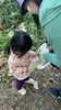 見つけたよ！シールはってね！「6/1(土) 植物観察🌱【札幌市北区児童デイサービス】」