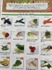 「5月の料理塾」