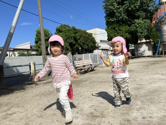 「秋のお散歩、はじまりました🍂」