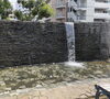 小さな滝には子どもたちも大喜びです👒「船橋のイイトコ≪天沼弁天池公園≫」