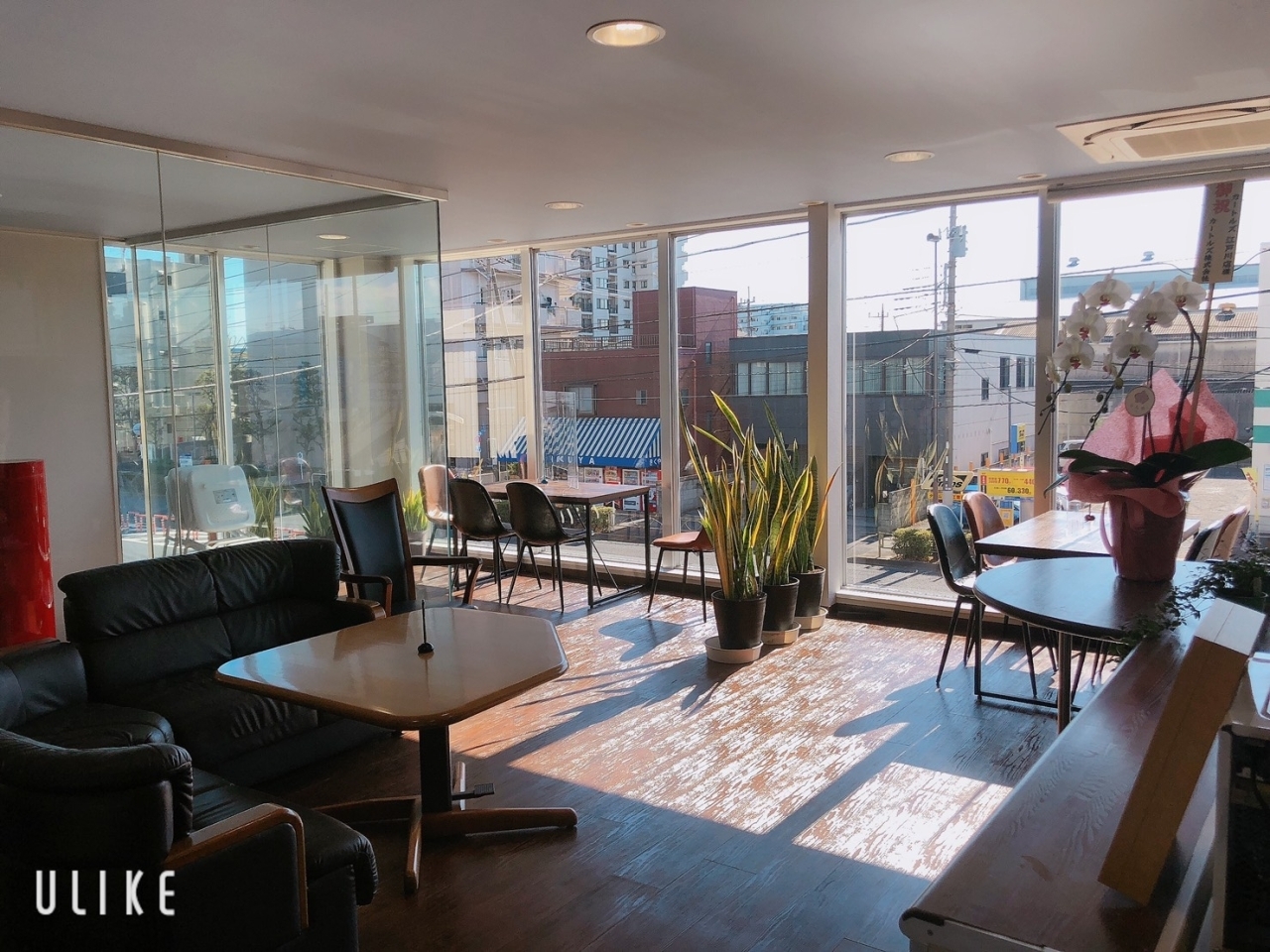 中央 カートルズ江戸川店 New Shop Open 江戸川区 まいぷれ 江戸川区 中央 カートルズ江戸川店 New Shop Open 江戸川区 まいぷれ 江戸川区