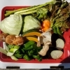バーベキュー用