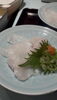 天然くえをお造りに、薬味ポン酢にて「舞鶴産・特大30キロ！天然くえ食べ尽くしコースのご案内」