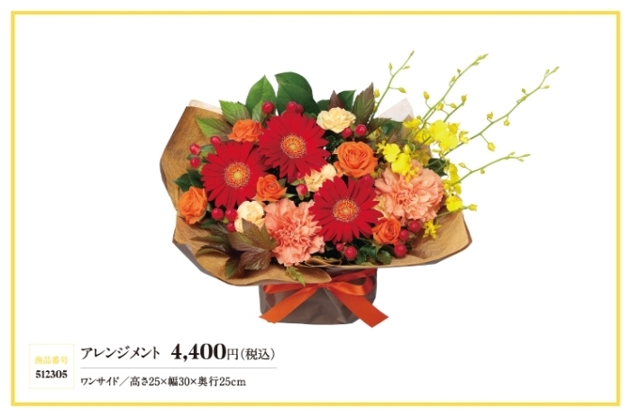11月の誕生花 ガーベラ 花キューピットでお花じかん まいぷれ 黒部 入善 朝日 11月の誕生花 ガーベラ 花キューピットでお花じかん まいぷれ 黒部 入善 朝日