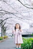 「ソメイヨシノ撮影会のお知らせ【江戸川区でこども・ファミリーの出張撮影をしています】」