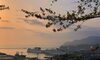 今朝の小樽「Good morning Otaru! ◎ 小樽の古民家ゲストハウスより」